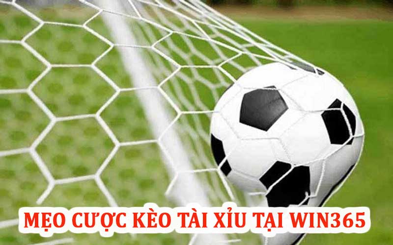 Mẹo cược kèo tài xỉu win365 cực kỳ hấp dẫn 